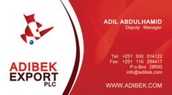 adibek-adil-card