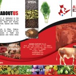 adibek-brochure