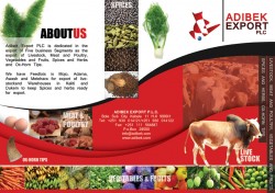 adibek-brochure